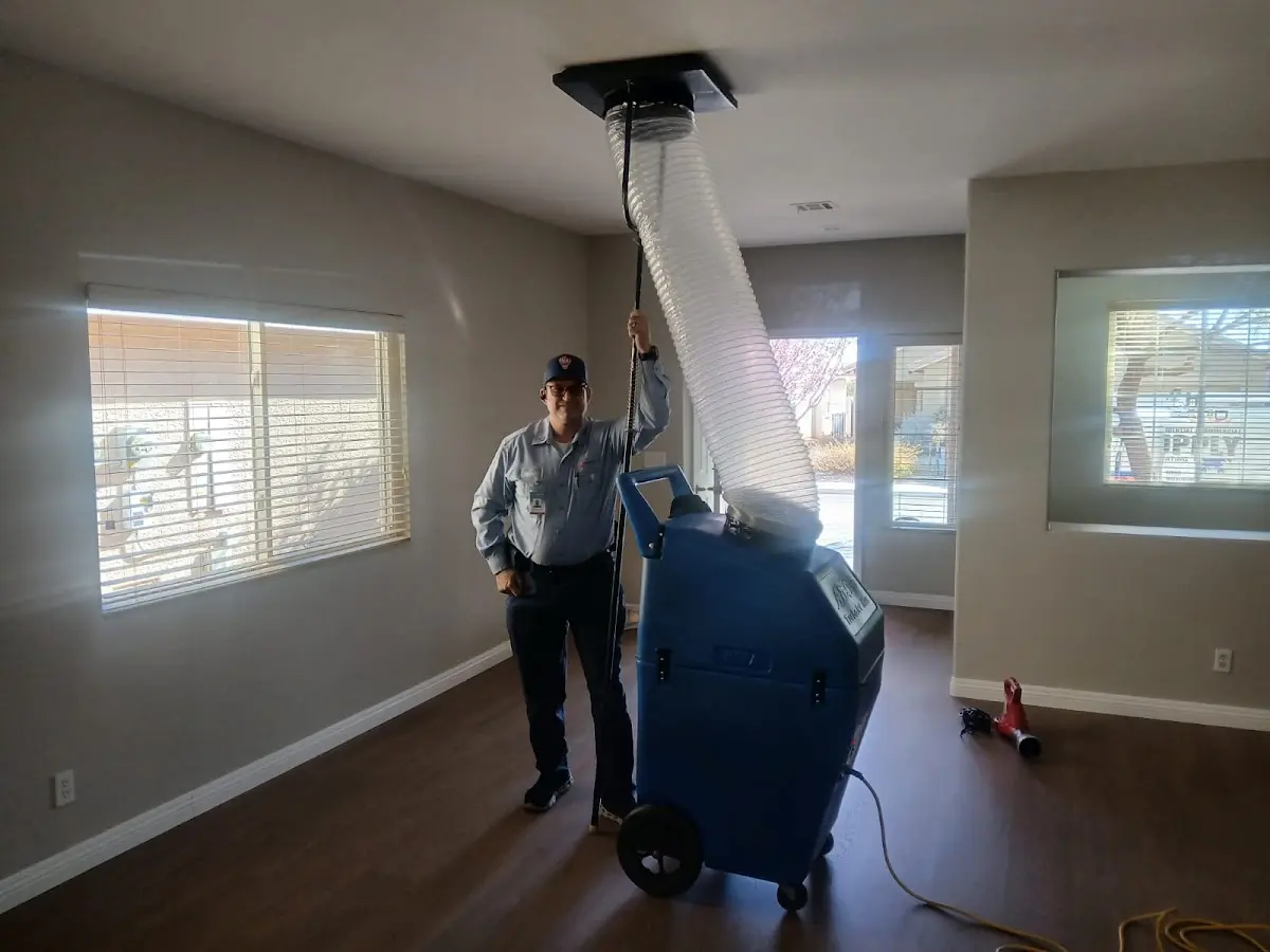 Professional Dryer Vent Cleaning work inside a Lealman home